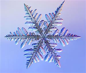 Snowflake