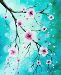 Cherry blossoms