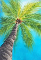 Palm tree