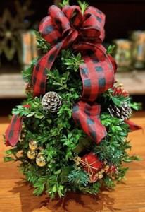 Boxwood tree