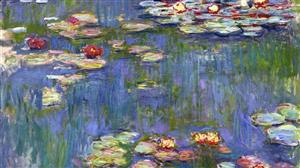 Water lilies